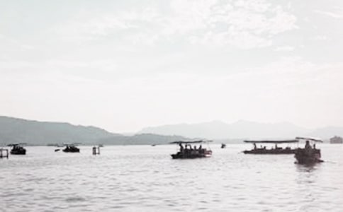 �����ӡ����Ŵ�Ϫ������֦��ԭ�ļ�����