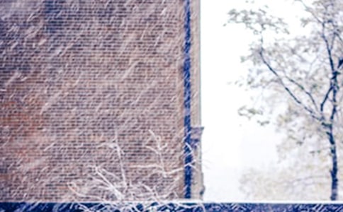 ��ѩ���Ÿ�7ƪ