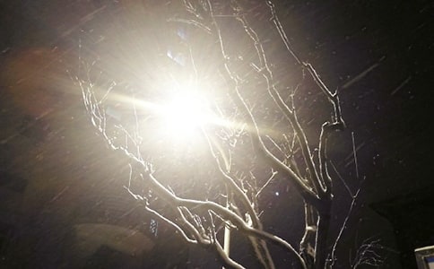 ��ѩ���Ÿ弯��15ƪ