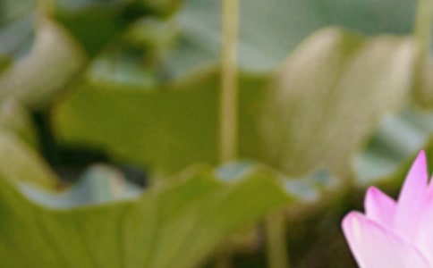 ������2023�������Ǽ��¼���