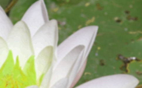 ����������Ԣ�����������