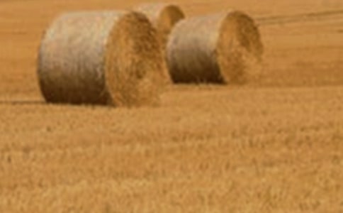 С�������ԭ����Ԥ����ʩ