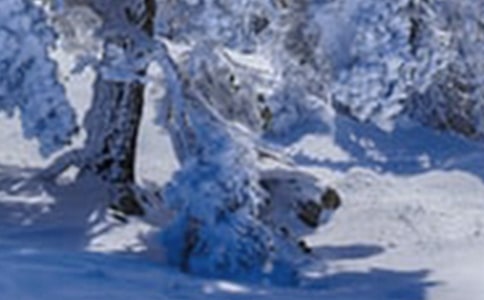 Сѩ����֪ʶ4ƪ