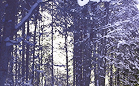 Сѩ��������400�֣���ѡ39ƪ��