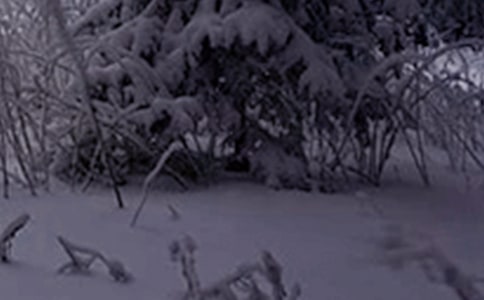 Сѩ�����������ص㾫ѡ(4ƪ)