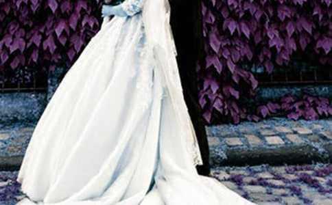 �»�������