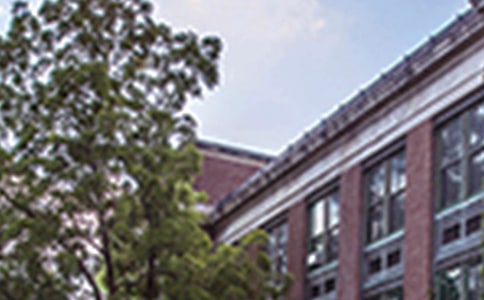 ҽѧԺʵϰ���պ�6ƪ(����)