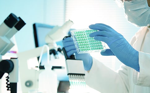 �о������ڵ�ʦ����