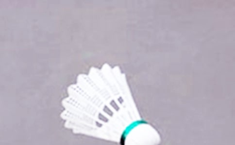 ��ë��Э�Ṥ���ܽ�