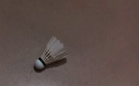 ��ë������߻�����15ƪ