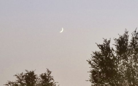 ���̰����������������ѡ�����˼