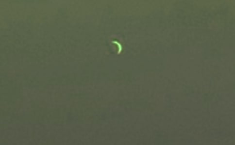 ʵ�õġ��������������ѡ��̰�3ƪ