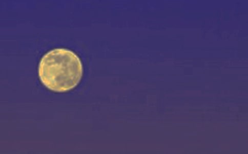 ����Բ��ѩ���λ���ԭ�ļ�����