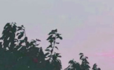 �����š�����ϵ�簲������¼38��