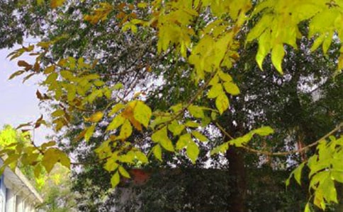 2024���̵��ʺ����Ϸ����簲������¼26��