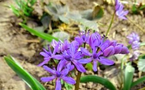 2024年简洁的温暖的早安问候语语录32句