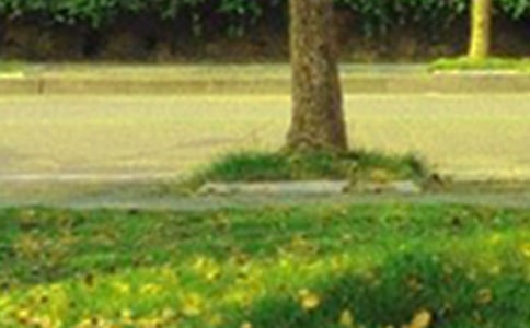 ʵ�õ���ů���簲�ʺ�����¼����50��