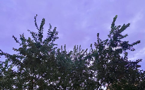 2024���̵������簲������¼����56��