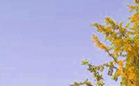 简洁的温暖的早安问候语语录26句