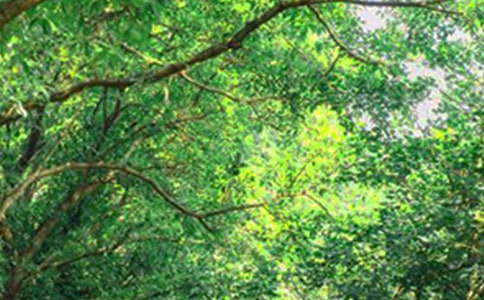 �򵥵�����ϵ�簲������¼���32��