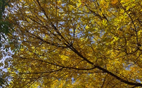 ���Ƽ���2024����ů���簲�ʺ�����¼18��