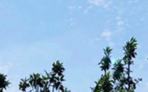 ������ܰ���簲�ʺ�����¼33��