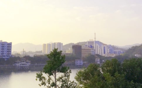 2024��ʵ�õ��������簲�ʺ�����¼ժ¼49��