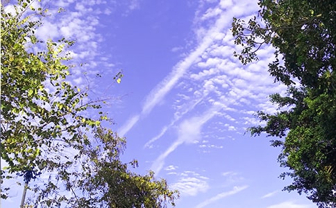 2024年简洁的温暖的早安问候语语录22句