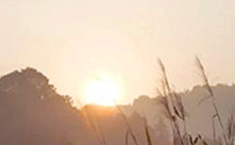 2024��ͨ����ů���簲�ʺ�����¼���33��