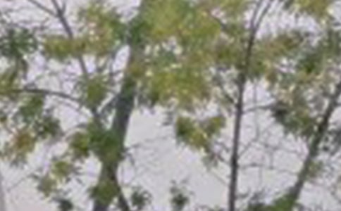 2024���й�ÿ��һǩ�簲�ʺ�����¼����60��