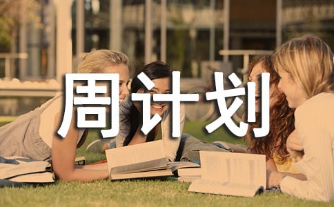 �ܼƻ�С���ƪ