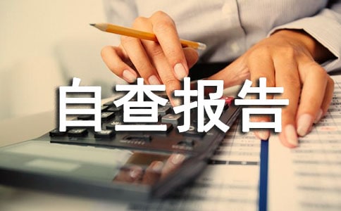 履职尽责自查报告范文