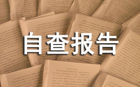 小学履职尽责自查报告