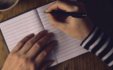 介绍书的作文300字集合10篇