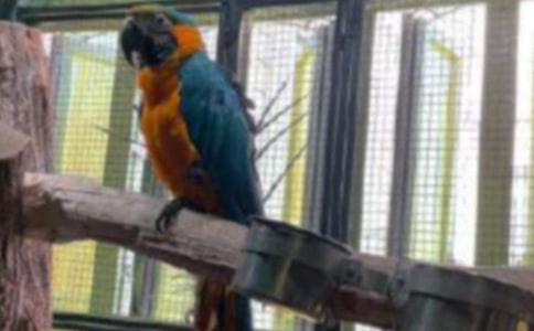 �����������Ż���ԭ�ļ�����