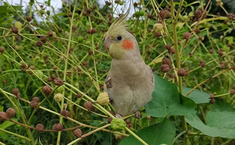 ������������֮����ԭ�ļ�����