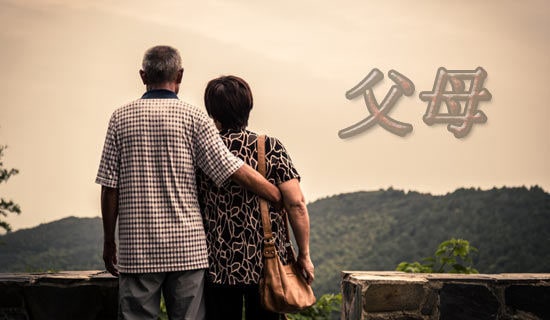 ������ʽ�з���ĸ�Ľ���