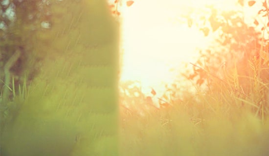 ��������Ψ����¼��ȫ90�侫ѡ