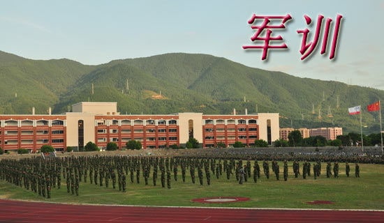 ���꼶��ѵ�ռ�300��