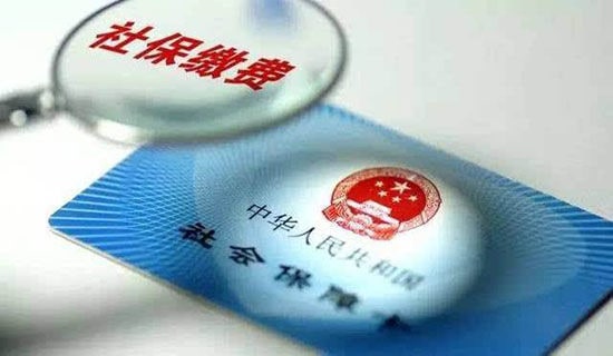 �����籣֤����������