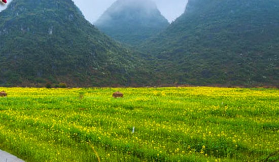 ͬˮ����Ա�⼮�������μİ׶�ʮ������ԭ�ļ�����